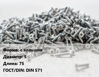 Шуруп с кольцом 5х75 ГОСТ: DIN 571
